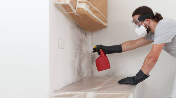 Professional Hvac And Air Duct Mold Remediation technician working in Brentwood, NY